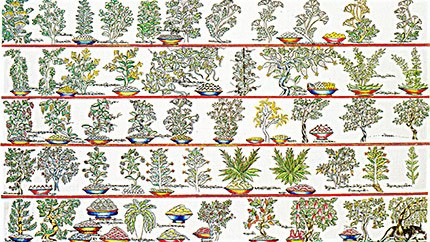 藏藥材資源分布、發(fā)展史